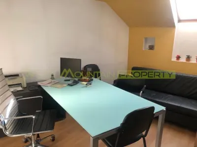 Vila cu caracter, interbelica, 9 camere, de vanzare - foto 4