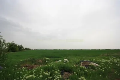 Teren 12500 mp, de vanzare, Tunari, negociabil - Tunari
