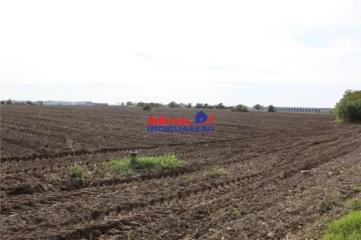 Teren de vanzare Balotesti -16.300mp-Stradal -Residentiale sau Comercial-cu toate utilitatile la strada - foto 4