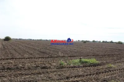 Teren de vanzare Balotesti -16.300mp-Stradal -Residentiale sau Comercial-cu toate utilitatile la strada - foto 5