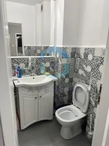 Apartament 3 camere Marasti - foto 6