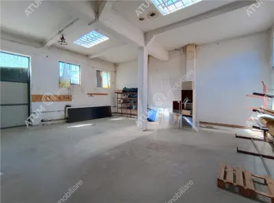 De vanzare casa si hale industriale - 475 mp utili in Cisnadie langa Sibiu - foto 3
