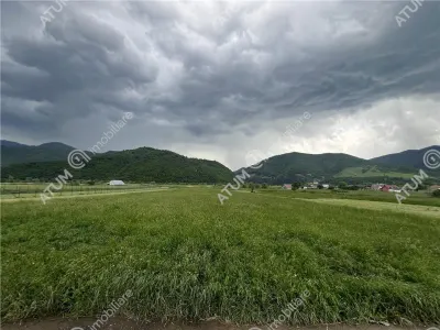 De vanzare teren intravilan de 3477 mp in Boita - Boita