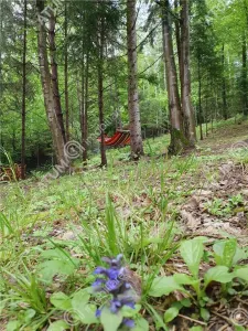 Casa tip A Frame de inchiriat in localitatea Avrig zona Valea Avrigului,Porumbacu de Sus - foto 8