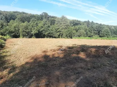 Teren intravilan de vanzare in Avrig zona turistica Valea Avrigului - Avrig