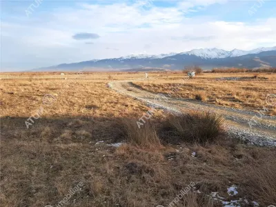 Teren extravilan 8400 mp de vanzare pe Valea Avrigului - foto 2