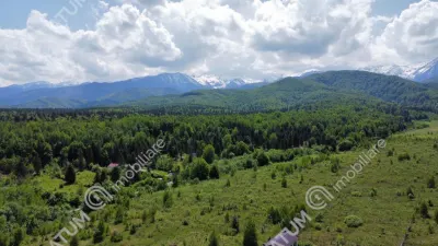 Teren extravilan 8400 mp de vanzare pe Valea Avrigului - foto 3