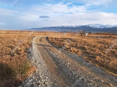 Teren extravilan 8400 mp de vanzare pe Valea Avrigului - foto 4