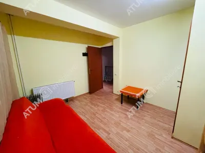 Casa de vacanta/Cabana cu 8 camere de vanzare in Paltinis - foto 8