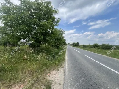 De vanzare teren curti constructii de 20200 mp in Daia - Daia