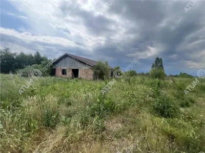 De vanzare teren curti constructii de 20200 mp in Daia - foto 2