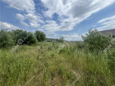 De vanzare teren curti constructii de 20200 mp in Daia - foto 4