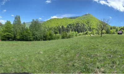 Teren intravilan de vanzare in Rau Sadului, 17.000 mp - foto 3
