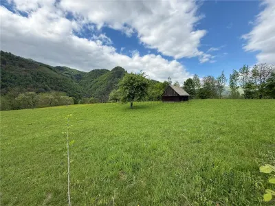 Teren intravilan de vanzare in Rau Sadului, 17.000 mp - foto 6
