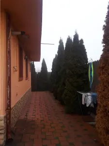GAGENI - Vila P+E+M - de Vanzare - foto 9