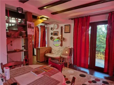 Seciu Prahova - Vila de Vanzare - foto 16