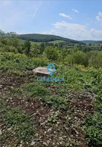 Teren 827 mp cu panorama in Teleac-Hapria - foto 2