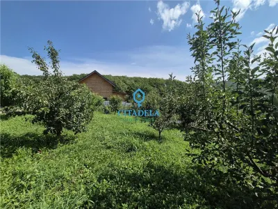 Teren Ampoita, 582  mp, 35000 euro - foto 3