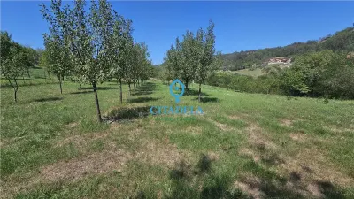 Teren 1785 mp Paclisa 40.000 euro - Alba Iulia