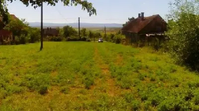 Terenuri  de vanzare Viile Satu Mare - foto 2