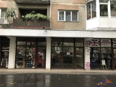 Spatii de inchiriat zona Careiului - foto 2
