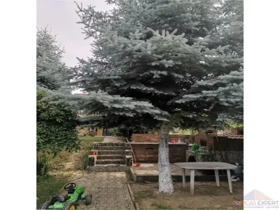Vila de vanzare pe Paulesti - foto 7
