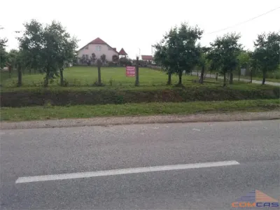 TEREN VETIȘ 1000mp - foto 1
