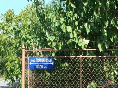 TEREN DE VANZARE IN VIILE SATU MARE - foto 1