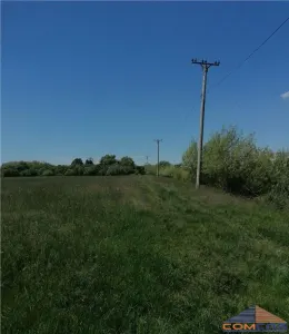 Teren Satu Mare - 40 ARI - foto 2