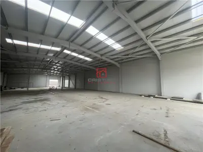 Vanzare depozit/hala/spatiu industrial Chiajna - Centura - Rudeni - foto 8