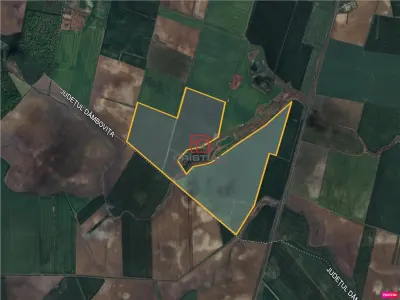 Vanzare teren Peris - Crevedia, Ilfov - Peris