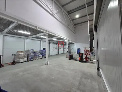 Inchiriere depozit frigorific congelare/hala/spatiu industrial Otopeni - Centura, Ilfov - foto 22