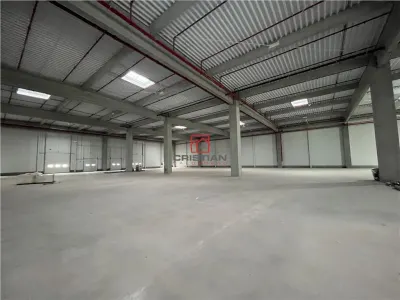 Inchiriere depozit/hala/spatiu industrial Stefanesti - Centura - foto 3