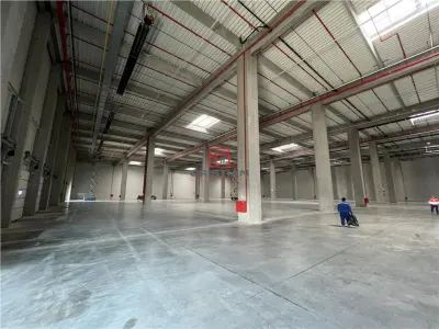 Inchiriere depozit/hala/spatiu industrial Theodor Pallady - Cernica - A2 - Manolache - foto 16