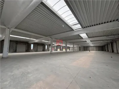 Vanzare depozit/spatiu industrial/hala Chitila - Rudeni, ILFOV - foto 3