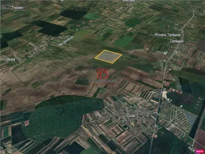 Vanzare teren agricol extravilan Tartasesti - Gulia, Dambovita - Tartasesti