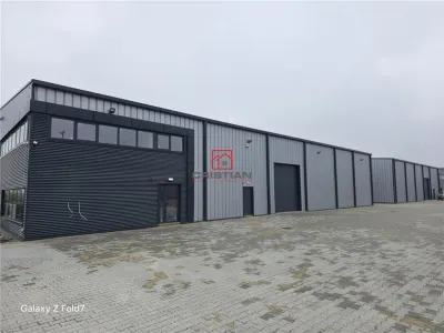 Vanzare depozit/hala/spatiu industrial Mogosoaia - Buftea - foto 3