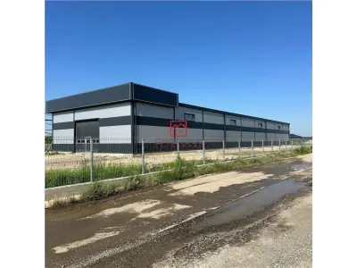 Vanzare depozit/hala/spatiu industrial Chiajna - Ciorogarla - A1-A 0, ILFOV - Chiajna