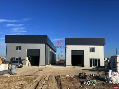 Vanzare depozit/hala/spatiu industrial Domnesti - Centura - foto 2
