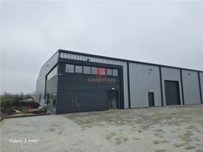 Inchiriere depozit/hala/spatiu industrial Mogosoaia - Buftea - foto 5