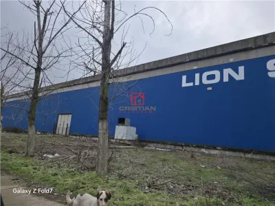Inchiriere spatiu industrial/hala/depozit Giurgiu - Port, Giurgiu - foto 7