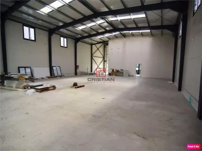 Inchiriere depozit/hala/spatiu industrial Theodor Pallady - Drumul Intre Tarlale - Oxigenului - foto 5