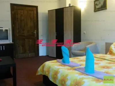 Teren centru (bulevard) Busteni - EFR Upgrade Imobiliare - Teren in centrul orasului Busteni - foto 18