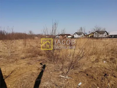 Teren 6208 mp Bacau / Strada 2 Stejari - foto 7