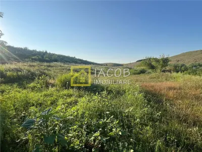 Teren Magura str. Intre Vii Islazului 550 mp - foto 6