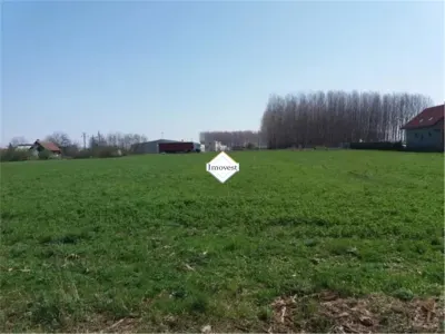 Teren de vanzare - Satu Mare
