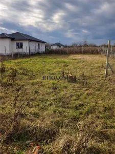 Casa de vanzare in Paulesti - foto 5