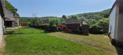 casa sat Sangatin, jud.Sibiu, cu teren1.93 Ha,comision 0 - foto 4