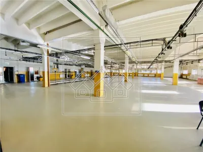 Spatiu industrial si de birouri in zona Terezian - finisaje moderne - foto 11