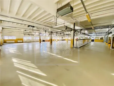 Spatiu industrial si de birouri in zona Terezian - finisaje moderne - foto 18